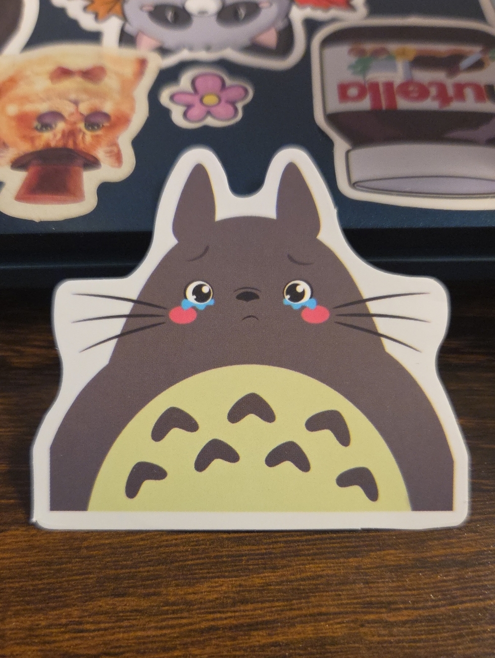 Cute Gray Cat Sticker - Tearful Totoro-Inspired Design